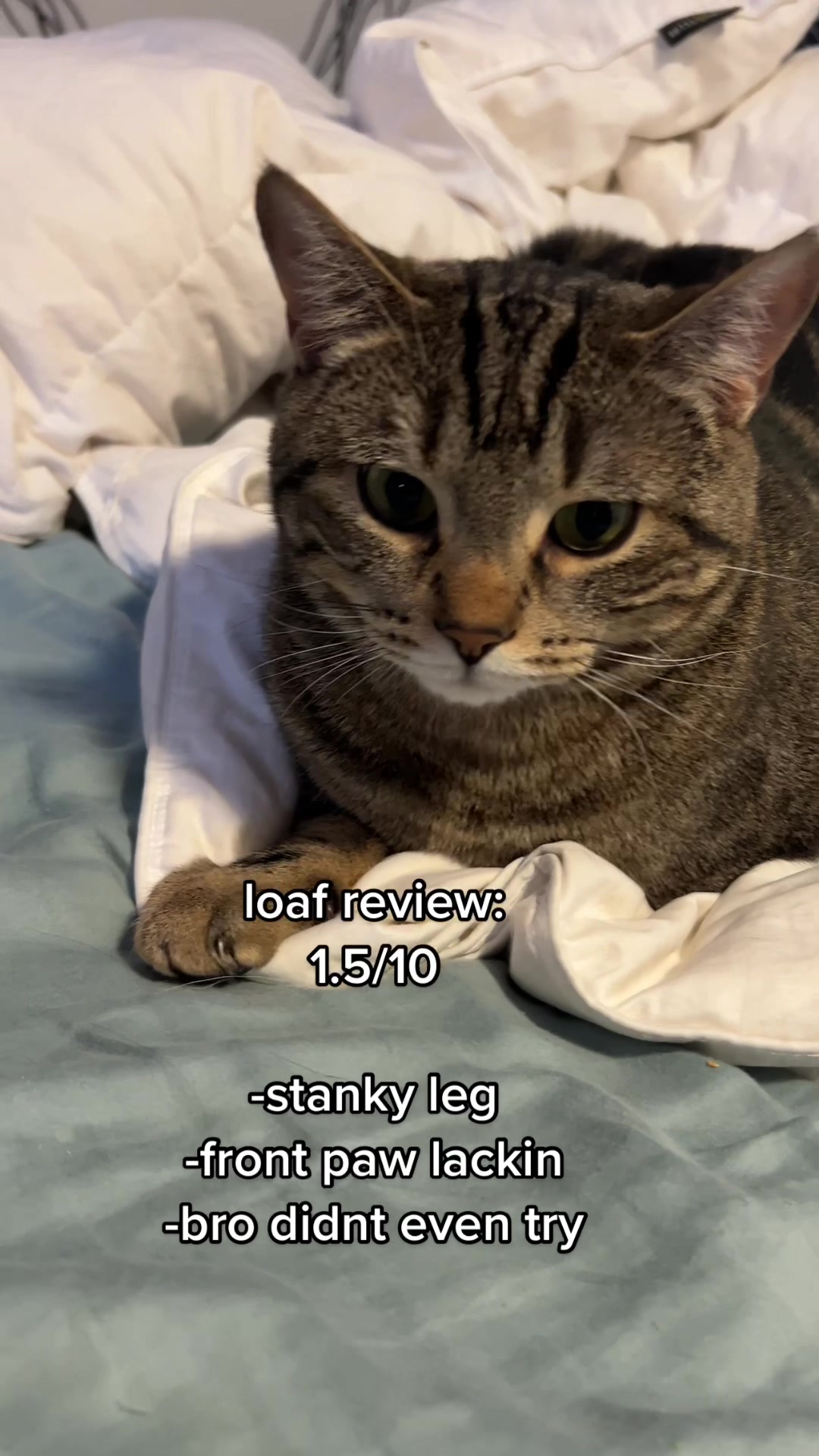 @Blawg