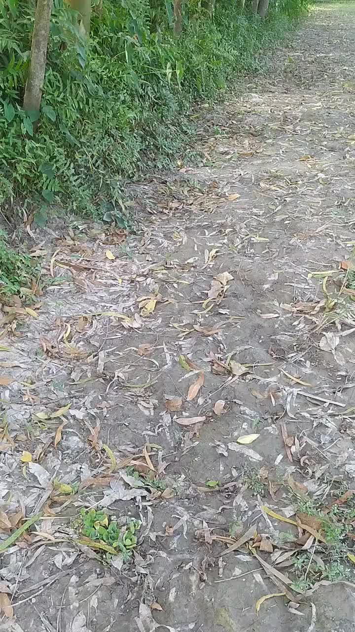 @শুধু তোমার জন্য পাগল