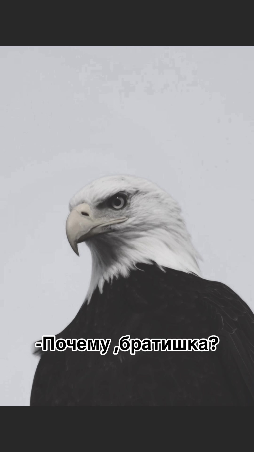 @Ubitaydusha