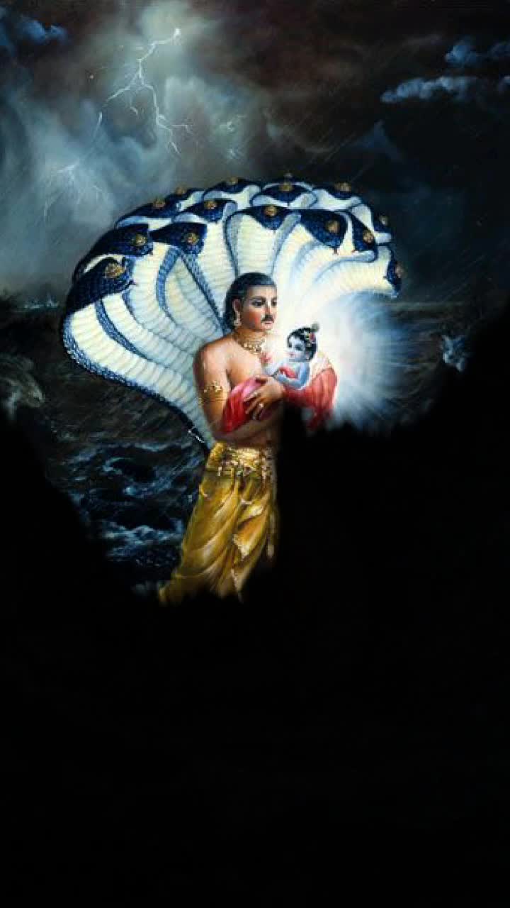 @digbhabharoli076