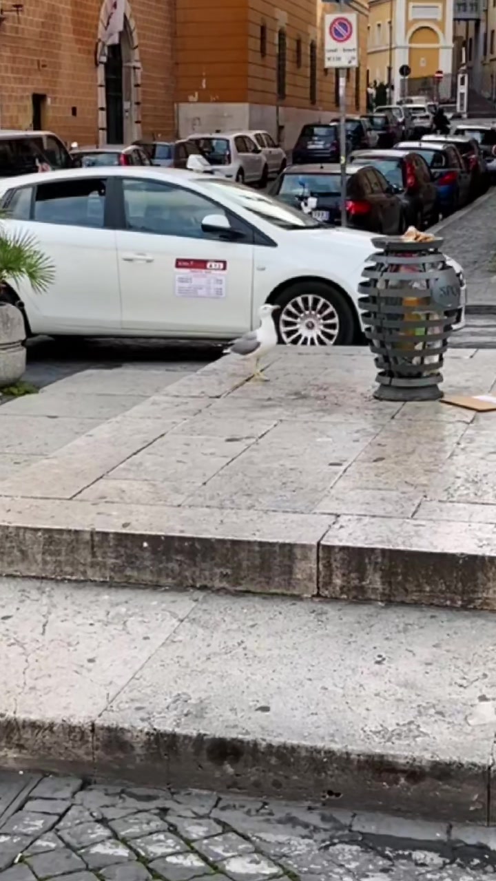 @Antonio Lanzolla