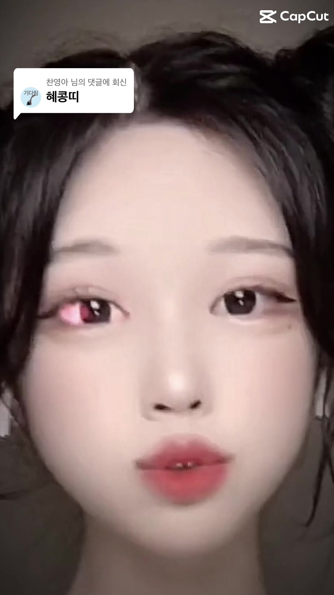 @틱톡커 근황 찾아줌