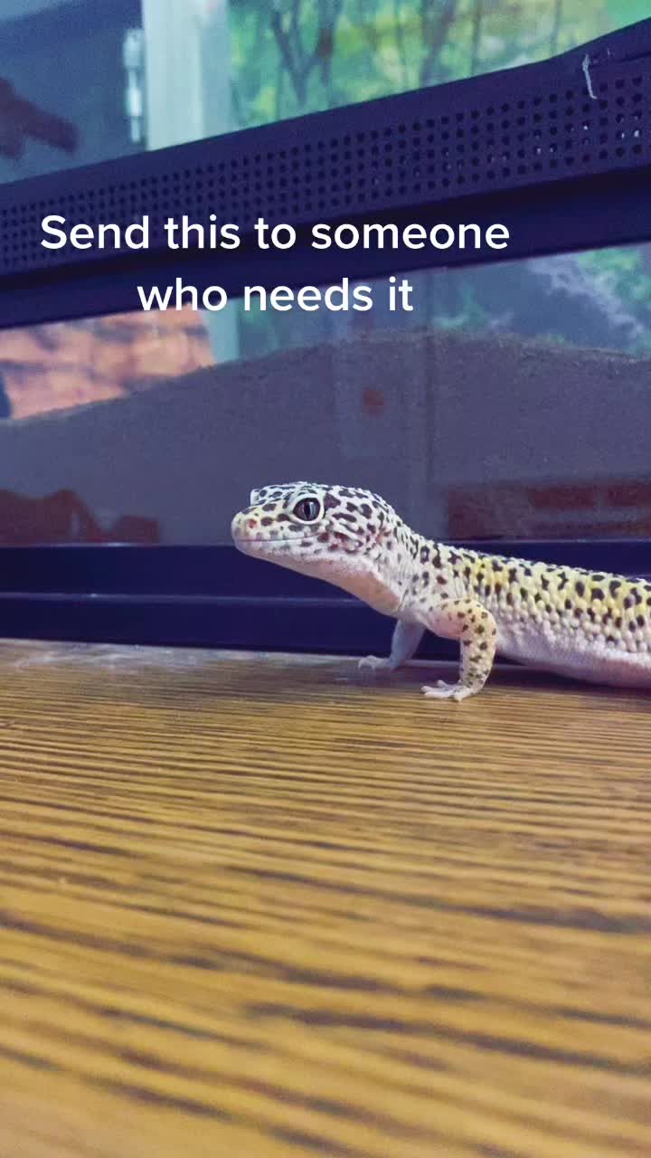 @Steve