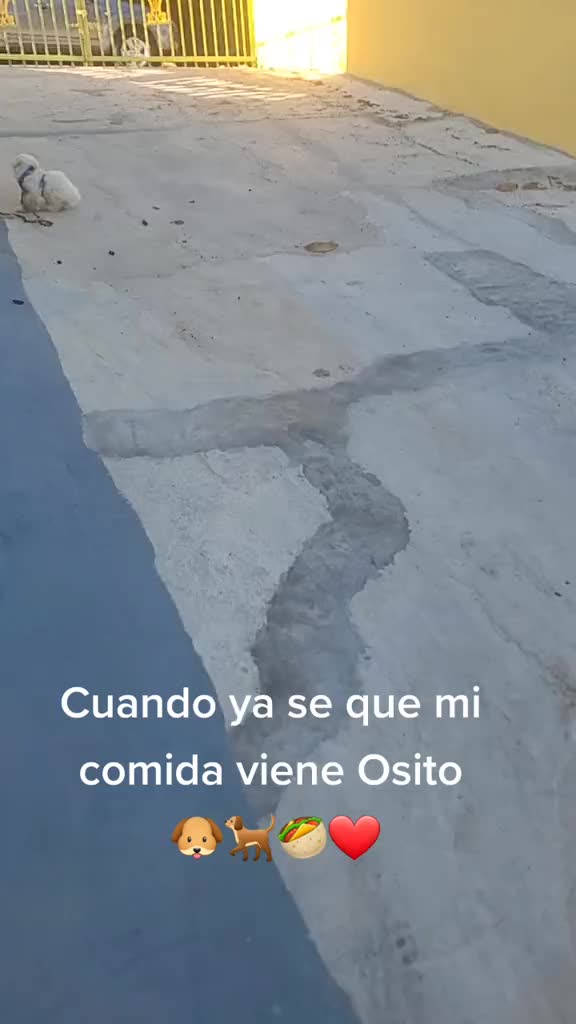 @BobaFettColon