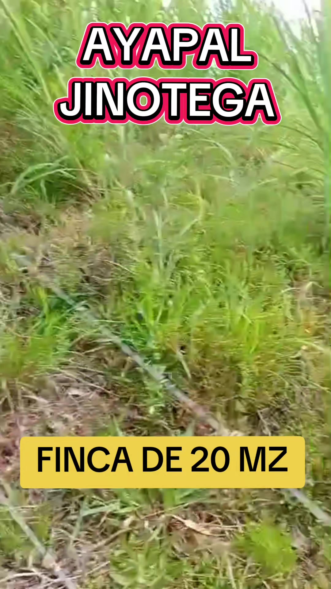 @@ventadefincasnicaragua
