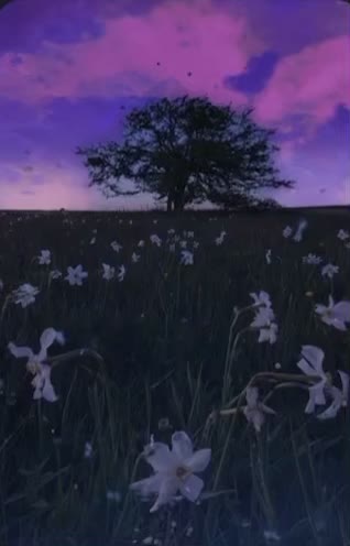 @💭