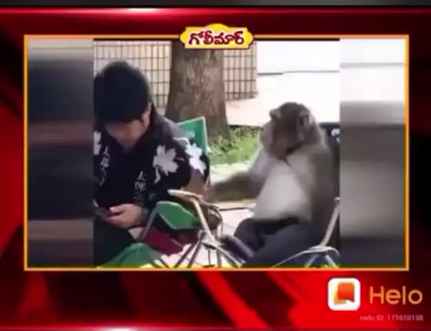 @Priyanka