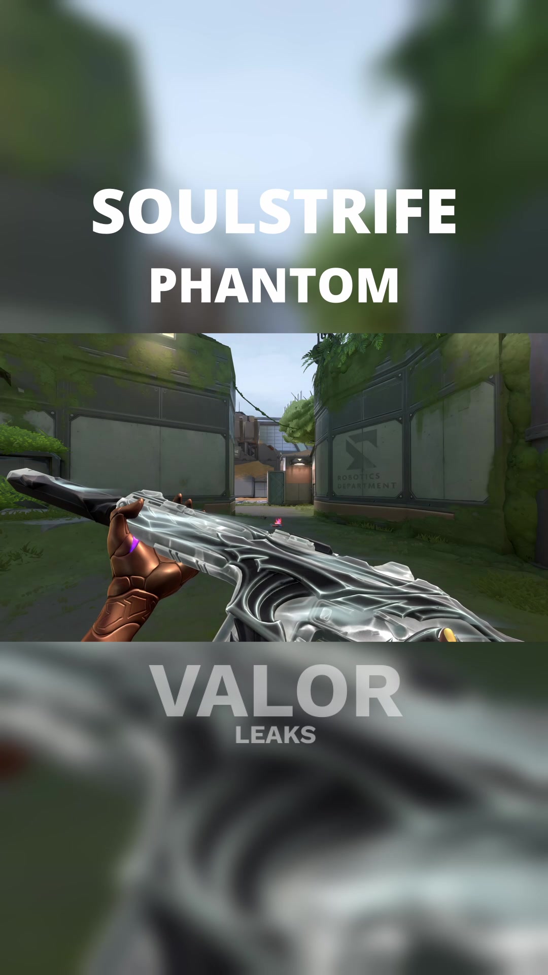 @ValorLeaks
