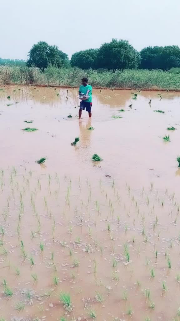 @Ani Sardar