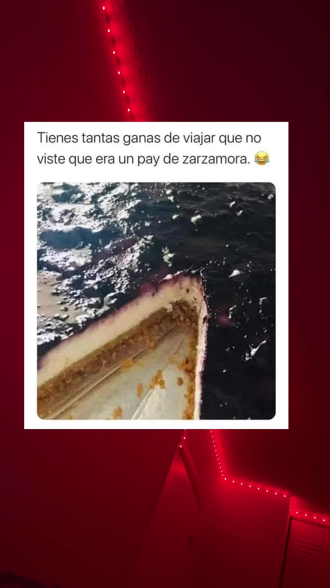 @🌸🪐Mᴀʀy☾🐬🇸🇻