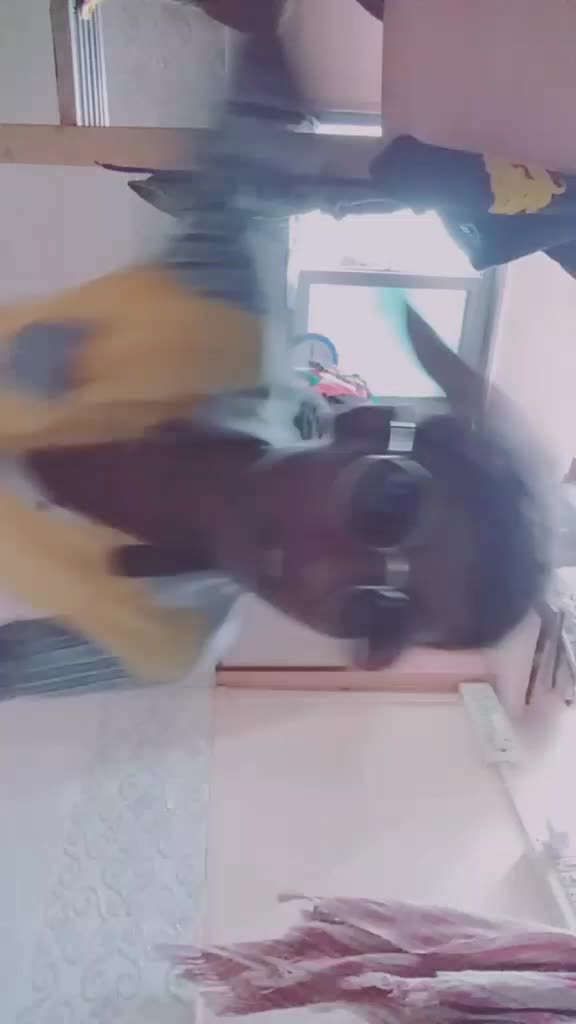 @coolest bad boi