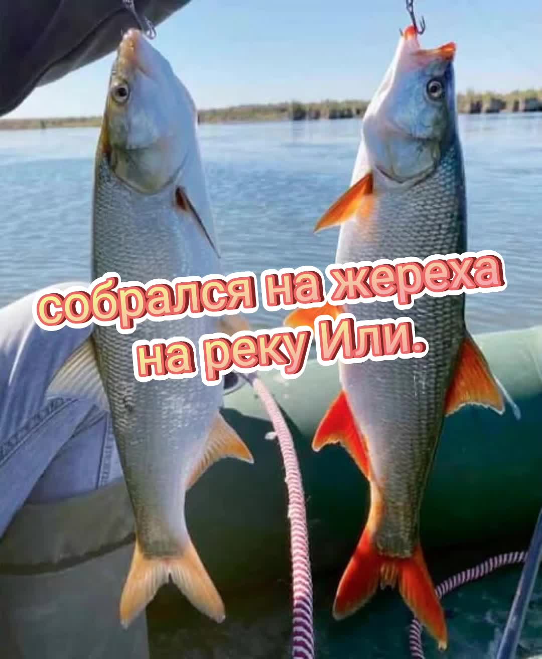 @Димос Клёвый