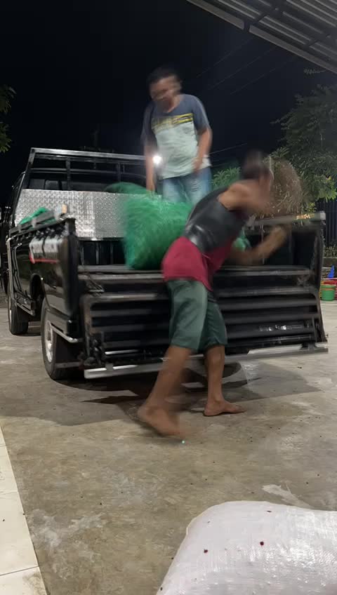 @h.afris17