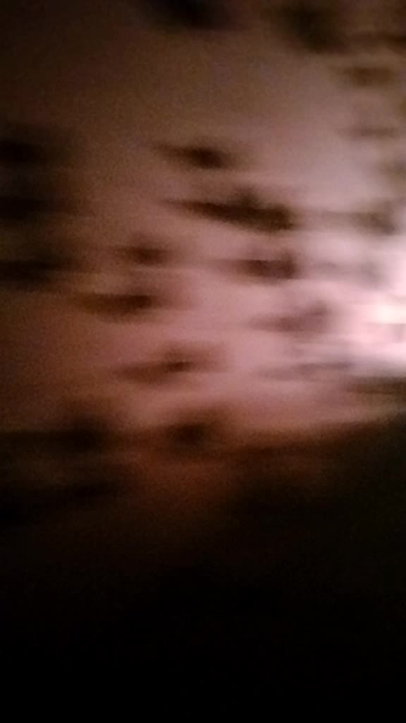 @krishna chaudhary