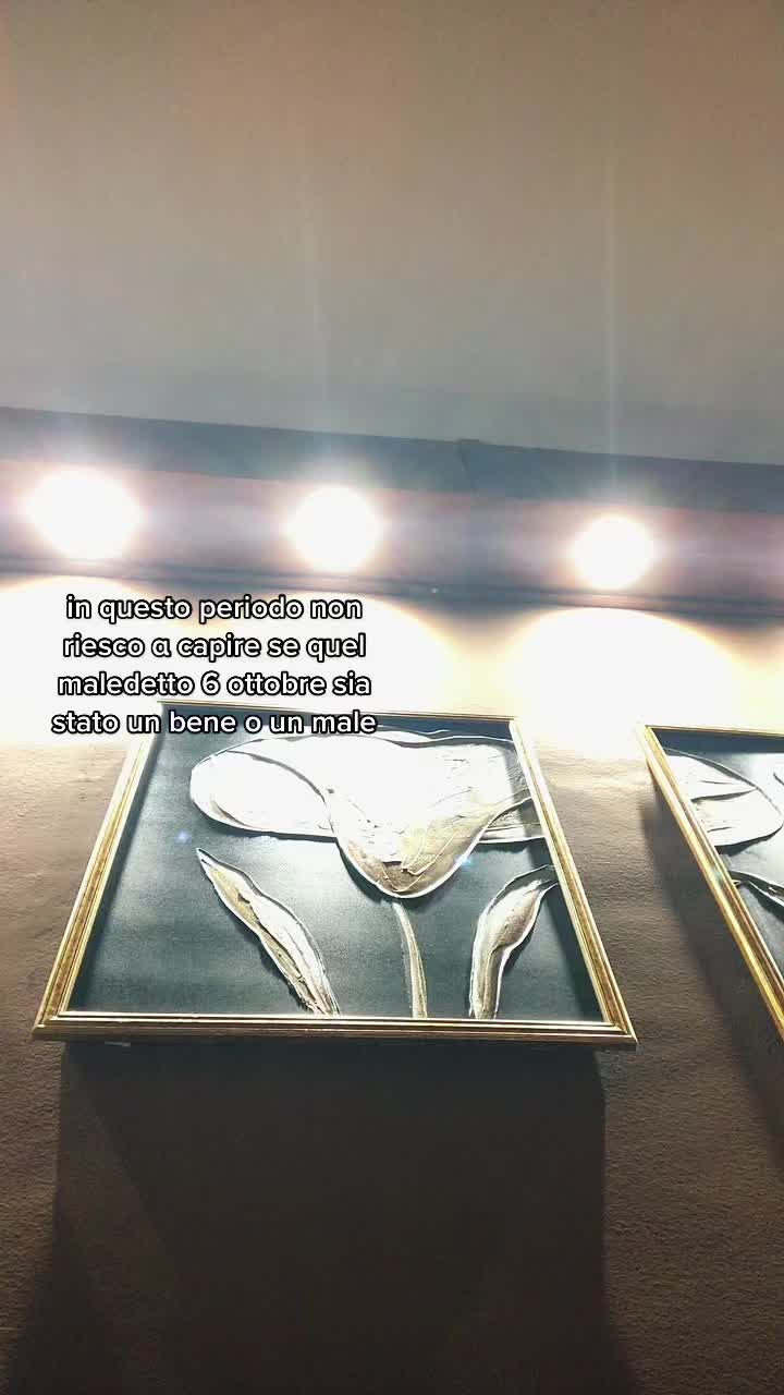 @user17282979228