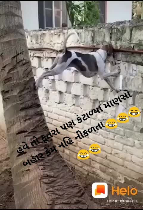 @neerav baba🙏🙏🙏