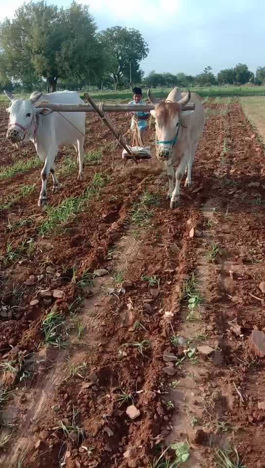 @Jogu akhila.kuruma