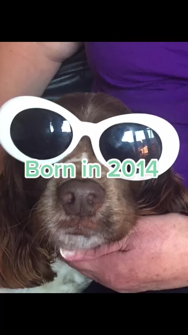 @🐶Molly🐶