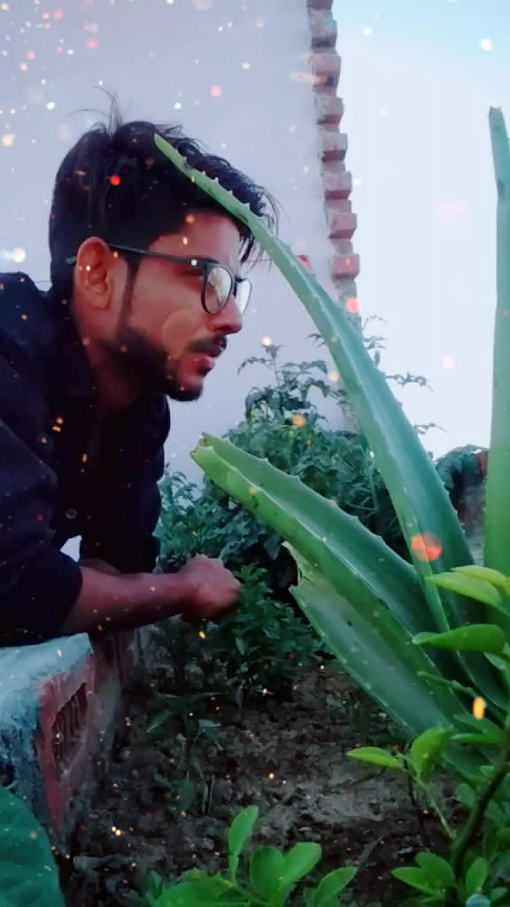 @Shahzad KAALI