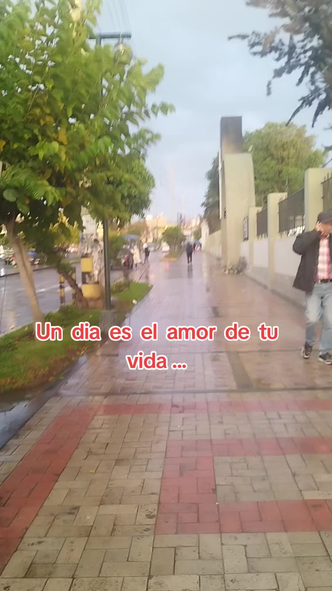 @torito
