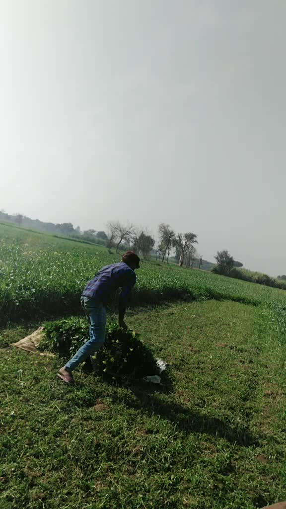 @user2369908885340
