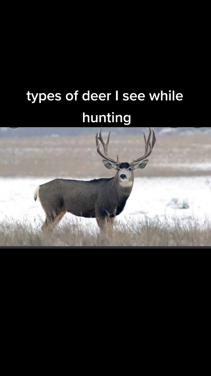 @Reece Billing
