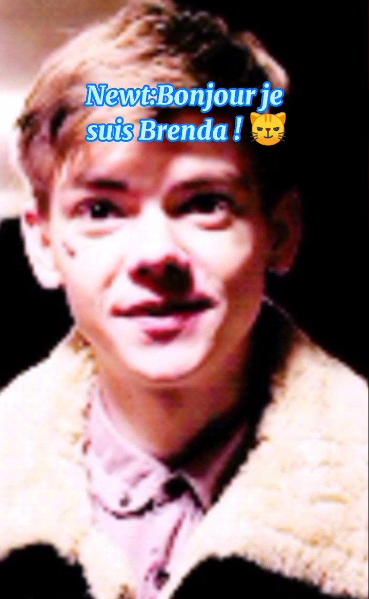@le_labyrinthe_newtyy