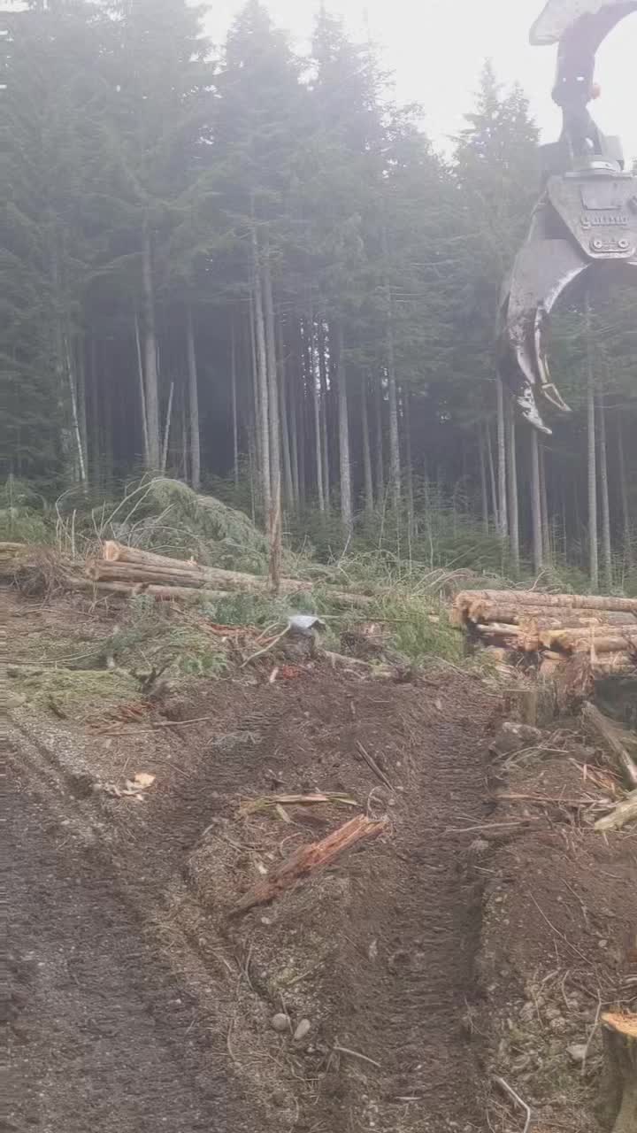 @Hiett logger