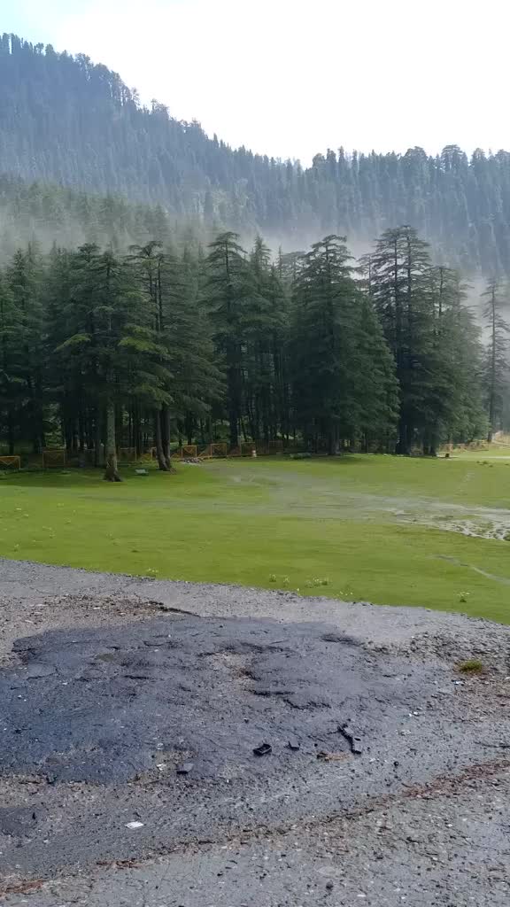 @Pammu Sharma