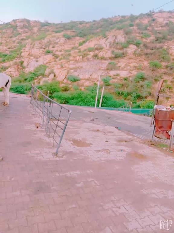 @PaplaGUJJAR0077