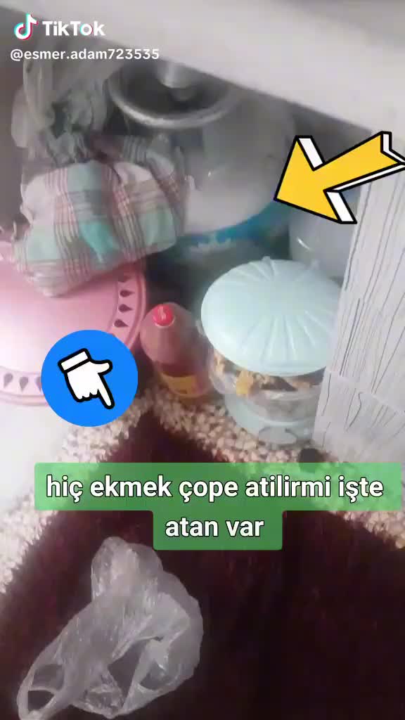 @🕊🍁esmer.adam7235🕊️🍁ayazım