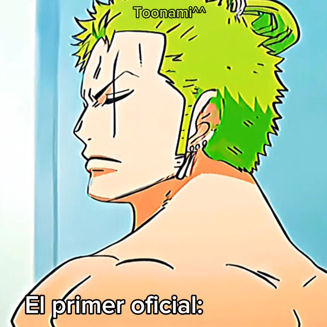 @ToonamiR