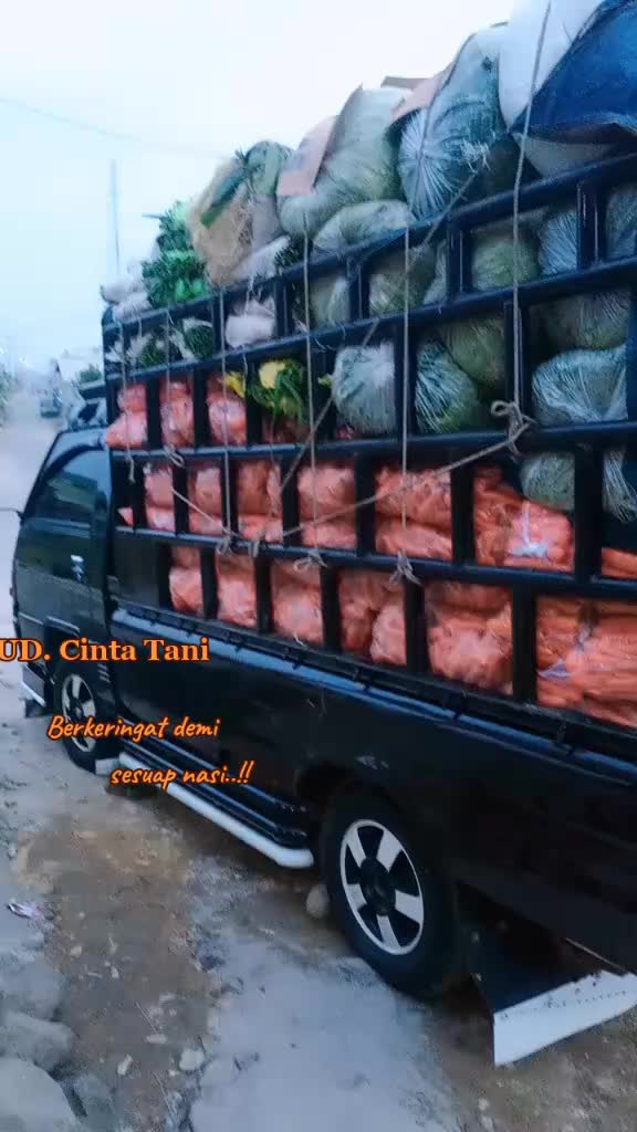 @UD.Cinta Tani fresh.