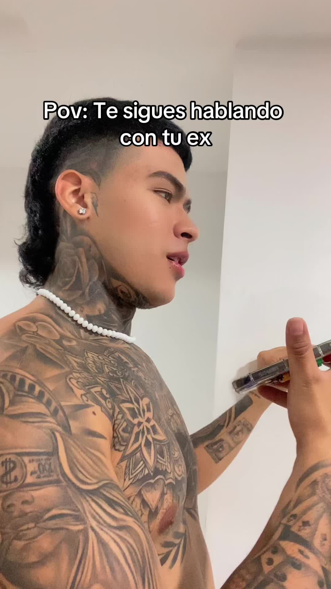@palomino🦁