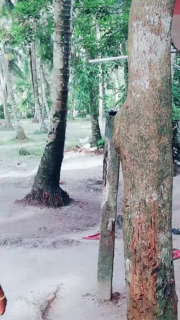@@sanoopkumar82