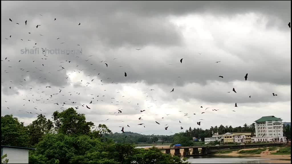 @shafi koppam