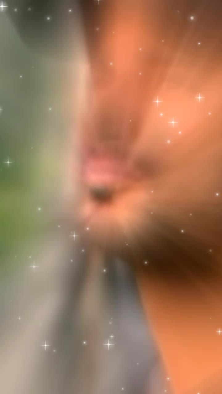@mrAbid_khan
