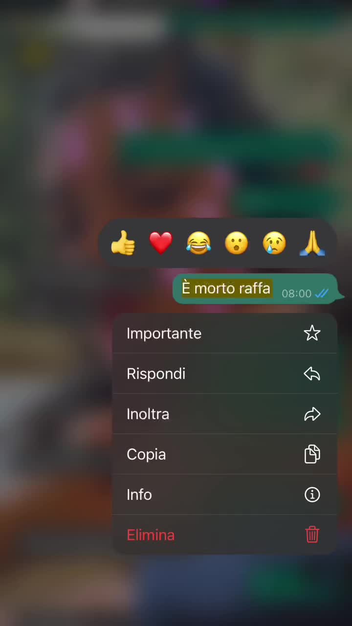 @_chiarapaolacci_