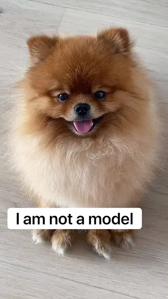 @Milo