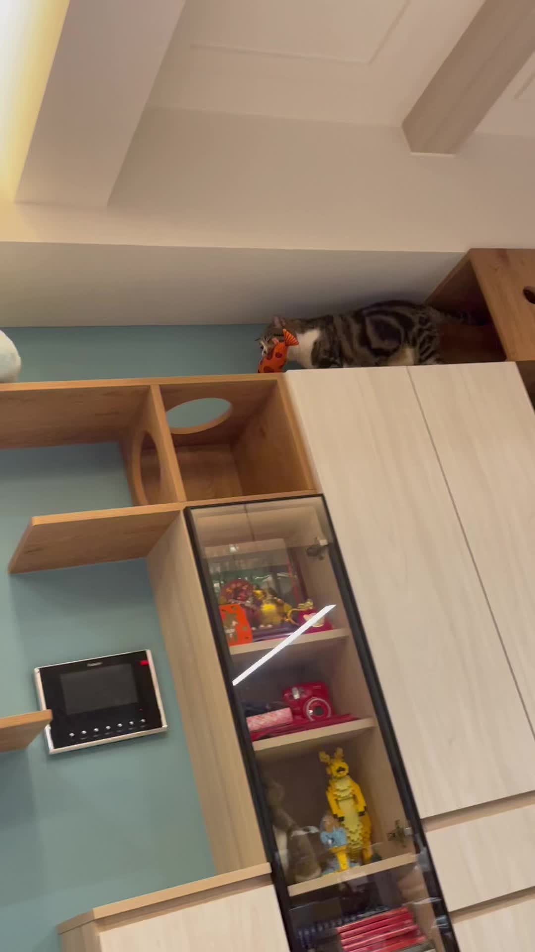 @oahanji