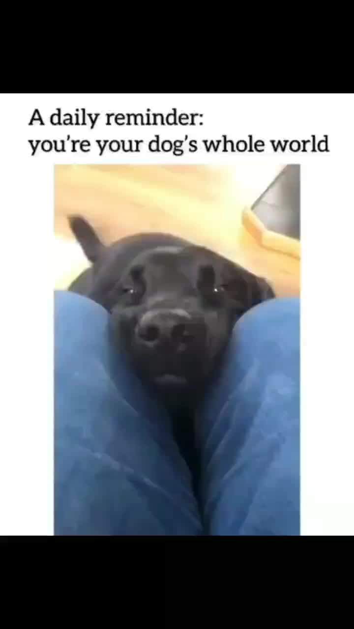 @fyygg12