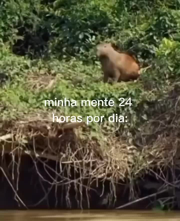 @Luiz Ot&aacute;vio
