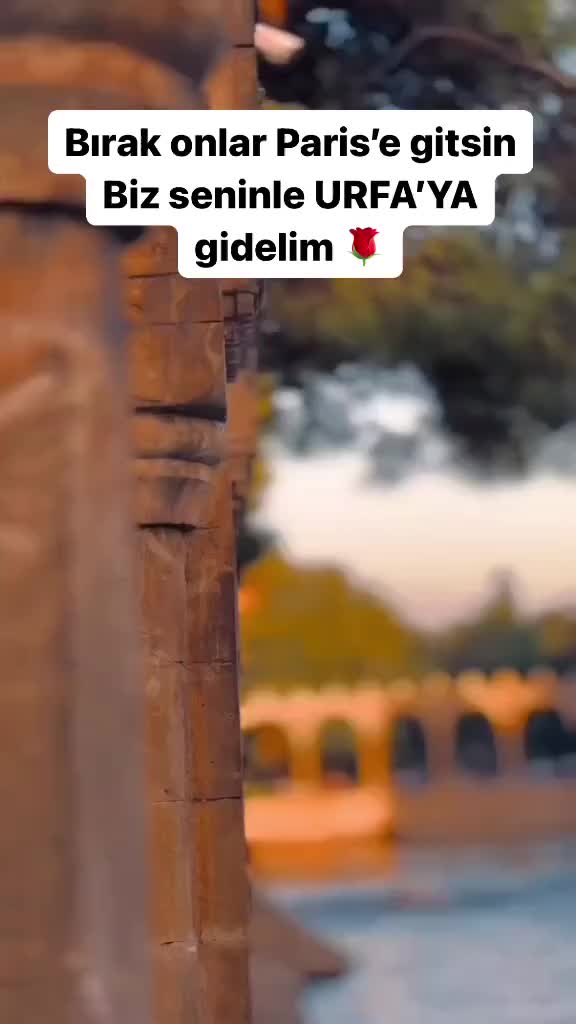 @Halil &ccedil;i&ccedil;ek