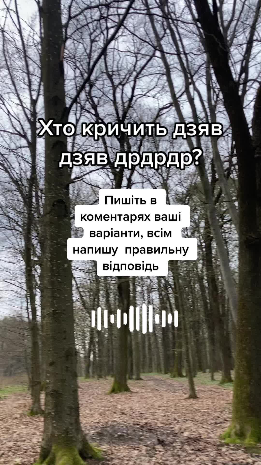 @Птахи, бьордвочинг, орнітолог