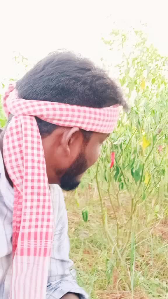 @@jarshiramesh