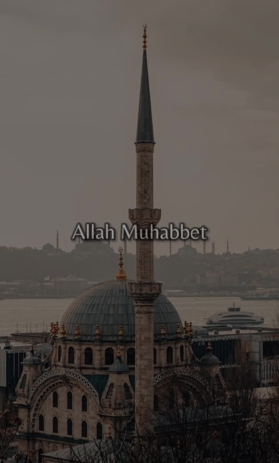 @𝓓𝓲𝓵𝓮𝓴 ♡