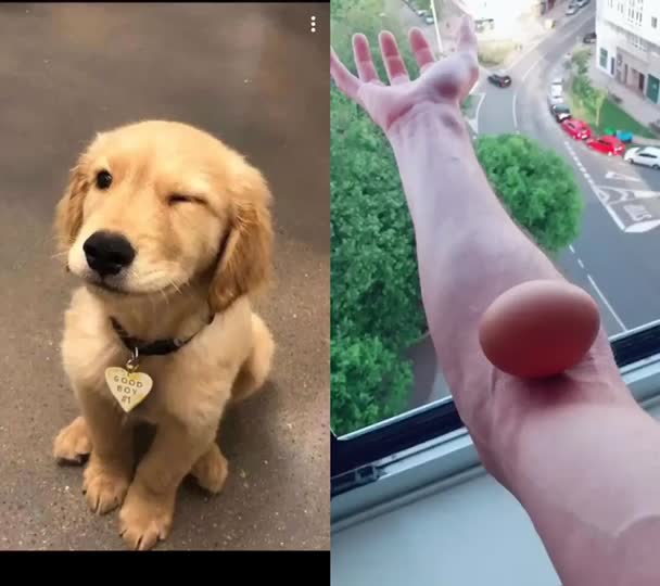 @jesuisunchienlol