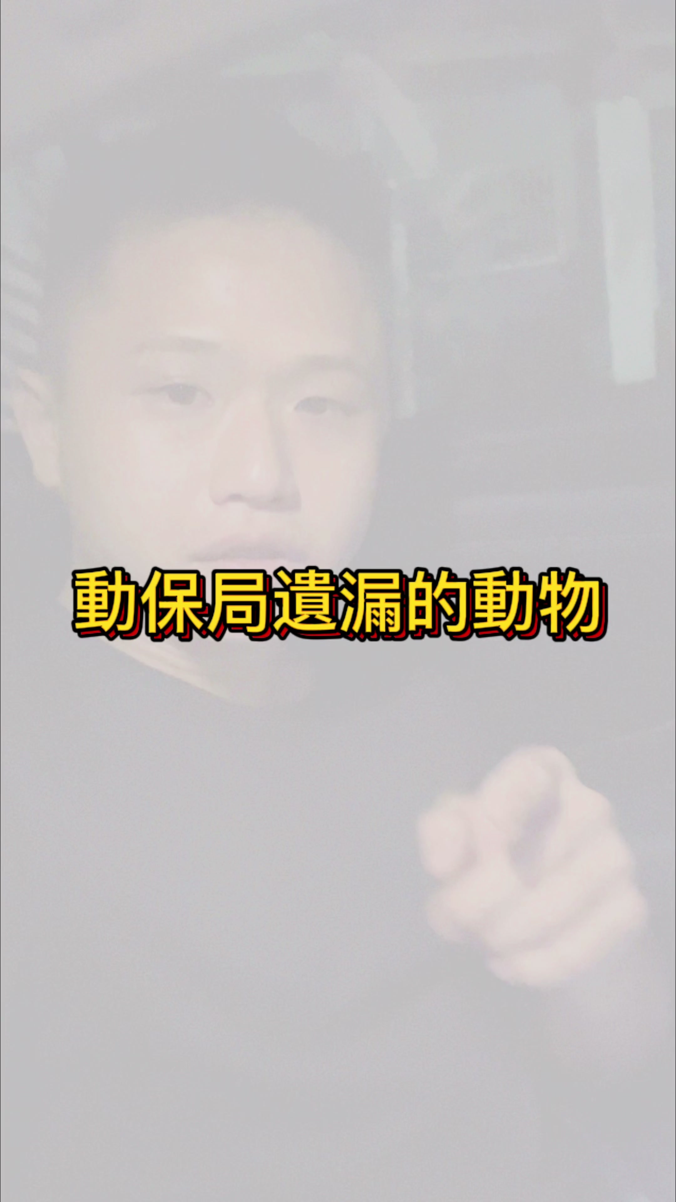 @重生的二寶爸