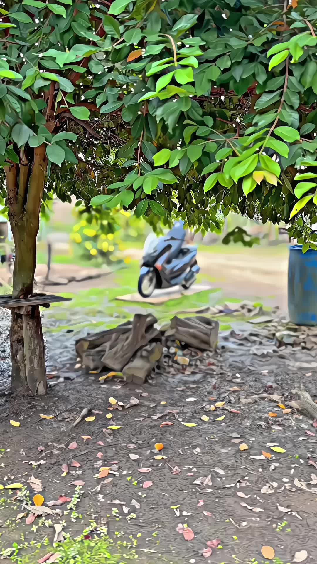 @....