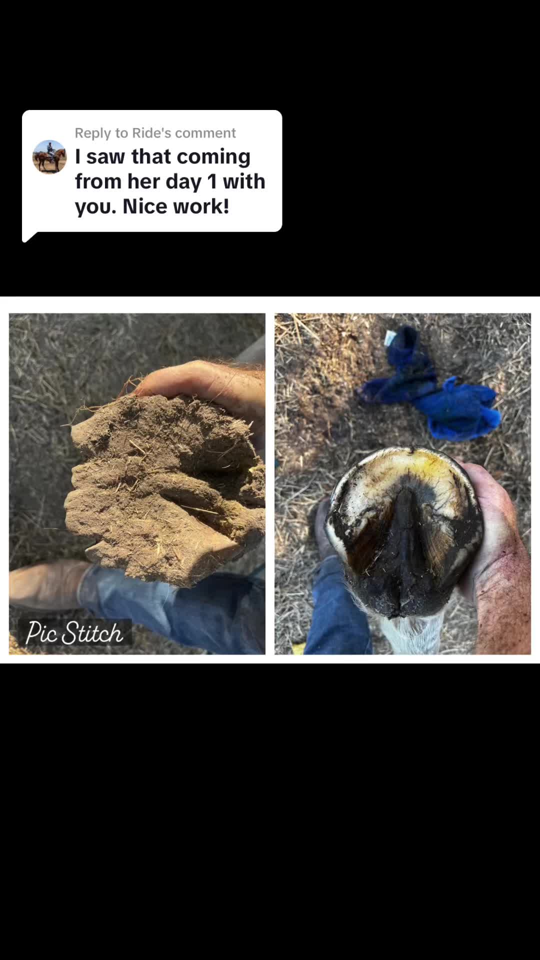 @CowboyBob_Horsemanship
